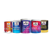 Berger Paints